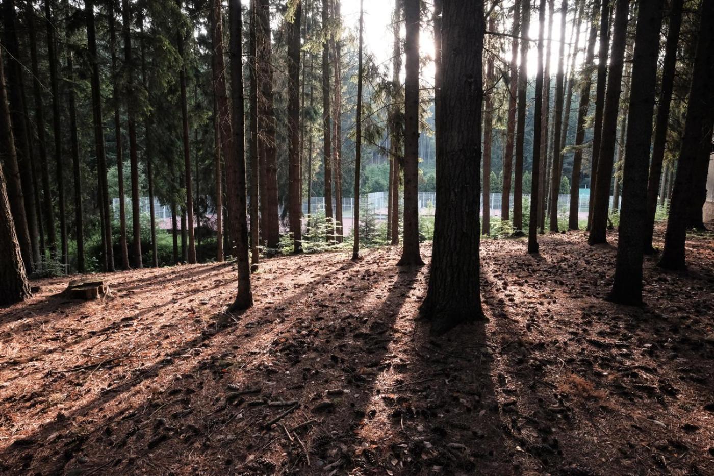 Hotel Kouty Ledeč nad Sázavou Exteriör bild