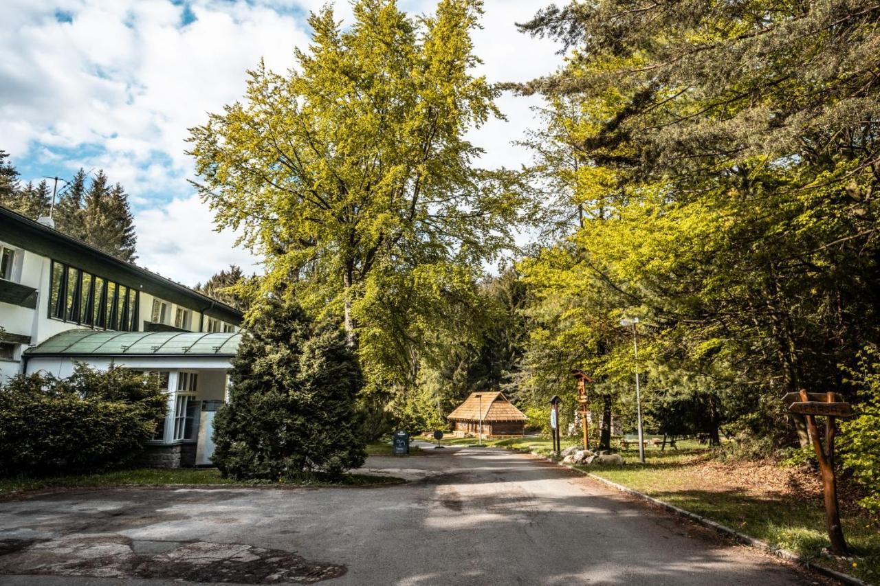 Hotel Kouty Ledeč nad Sázavou Exteriör bild